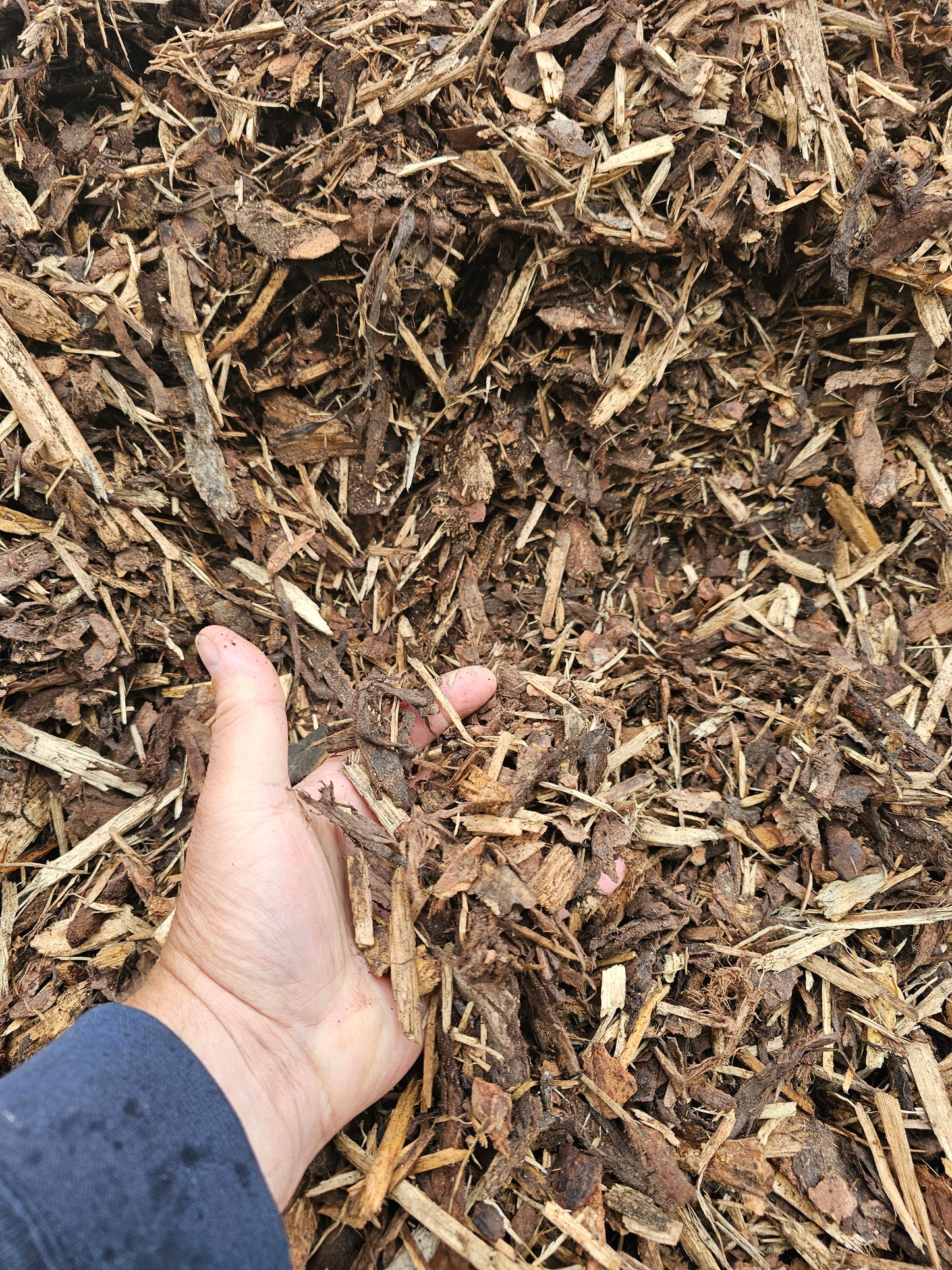 Shredded Pine/Spruce mulch 1 yard or more