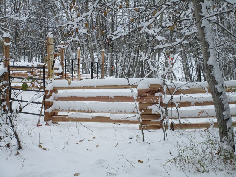 10' no hole posts/Super Jumbo Rails