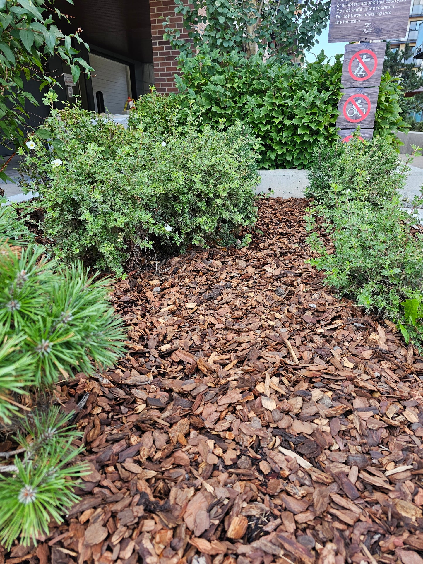 Small 1” to 2” Douglas Fir Bark Nuggets  - 140 - 150 yard Bulk Load