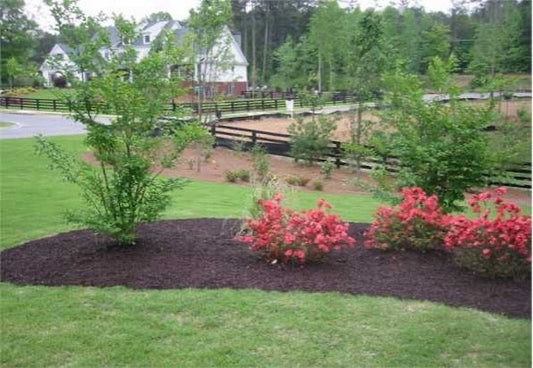 Choosing the Right Mulch Can Transform Your Garden—Here’s How