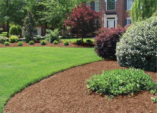 Cedar or Cypress Mulch? Make the Right Choice with This Expert Guide