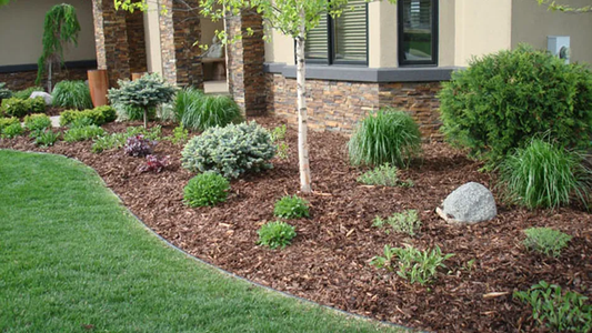 What Benefits Do Pine Bark Nuggets Offer in Gardening?