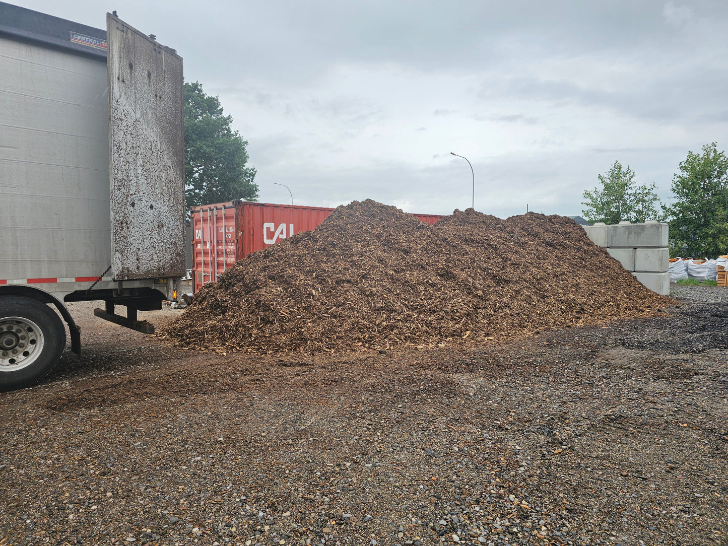 Shredded Pine/Spruce mulch 1 yard or more
