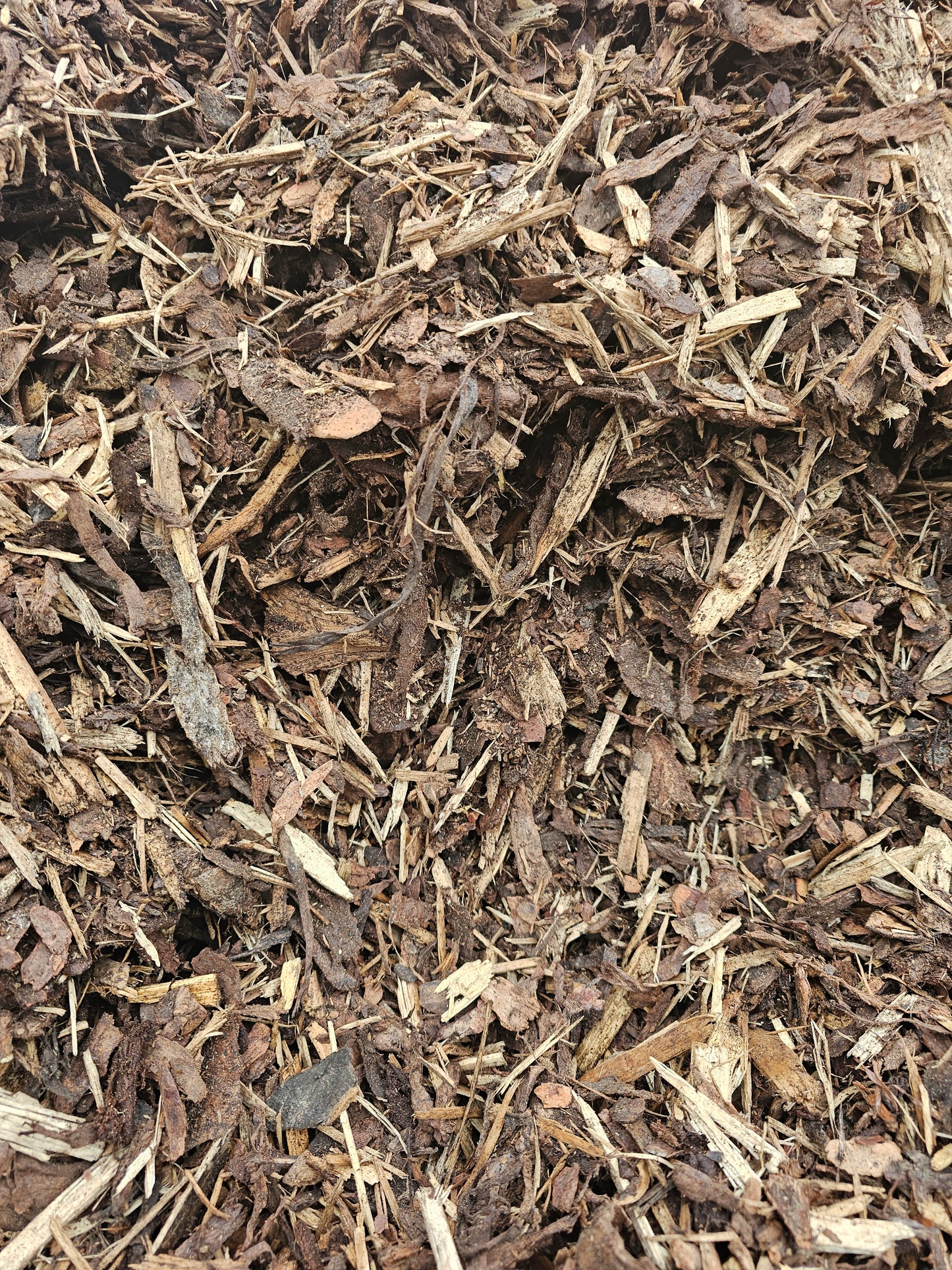 Shredded Pine/Spruce mulch 1 yard or more