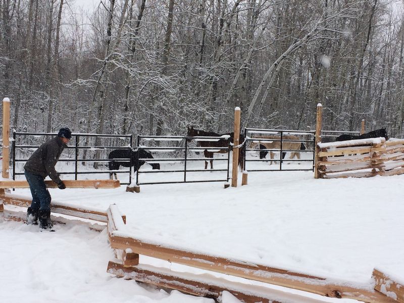 10' no hole posts/Super Jumbo Rails