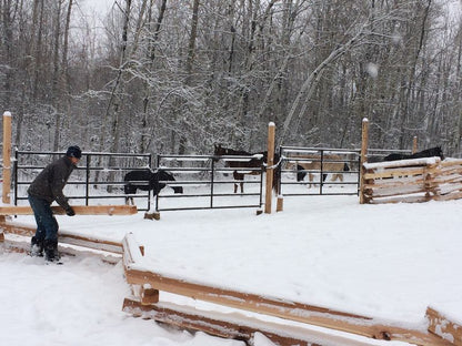 10' no hole posts/Super Jumbo Rails