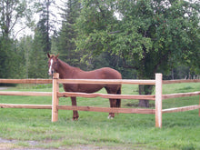 Load image into Gallery viewer, Pure Country Split Rail Cedar Fencing

