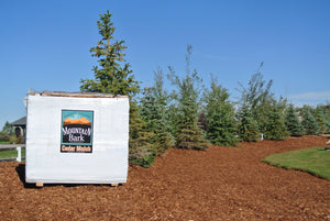 Western Red Cedar Mulch -5.5 Cubic Yard Bales