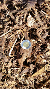 Shredded Pine/Spruce mulch 115-120 yard