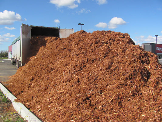 red mulch